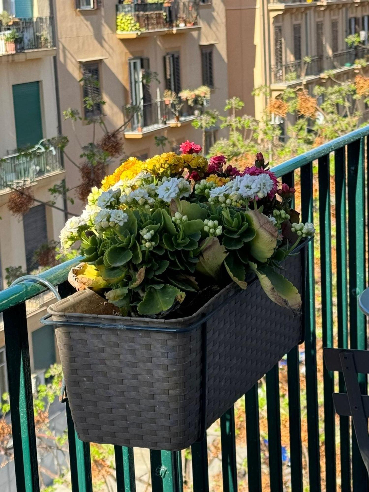 Di Fresco Apartments - Holiday House Palermo Bagian luar foto